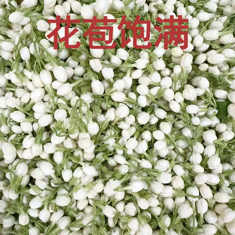 新しい天然 100 グラムジャスミンドライフラワージャスミン - Soap Making Raw Material のレビューと価格